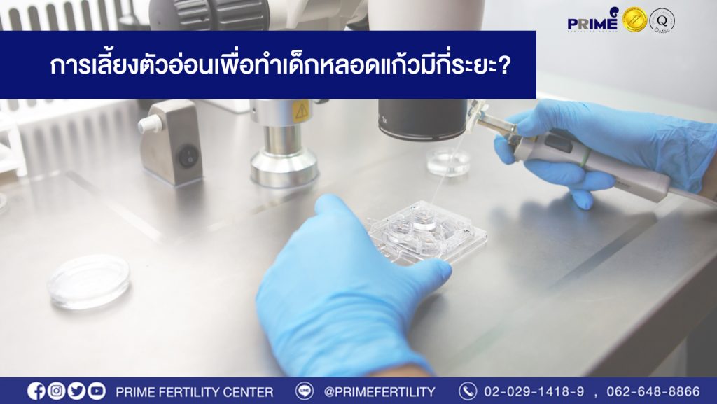 การเลี้ยงตัวอ่อนเพื่อทำเด็กหลอดแก้วมีกี่ระยะ