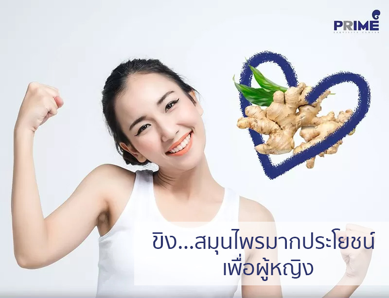 ขิง TH1