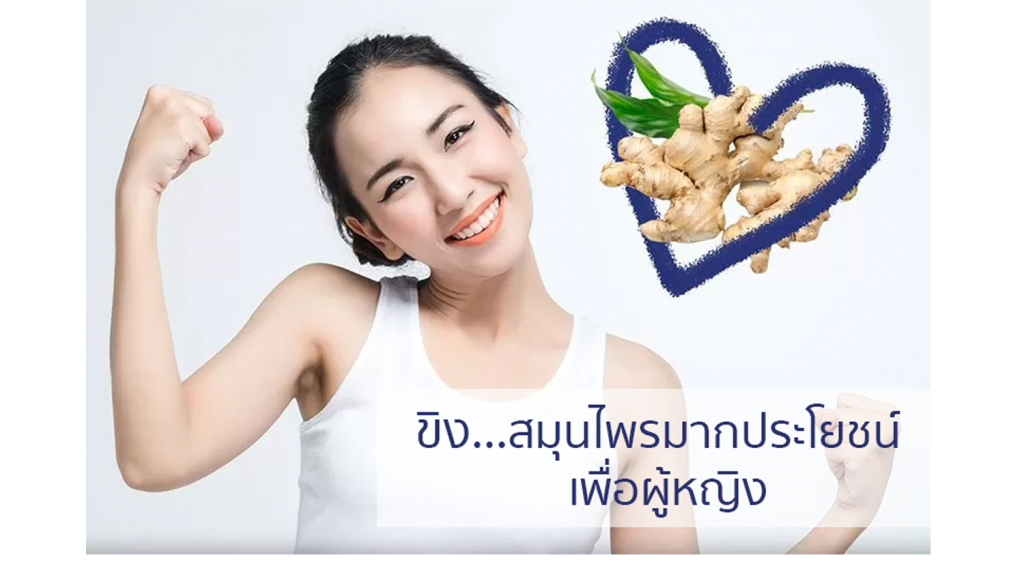 ขิง1