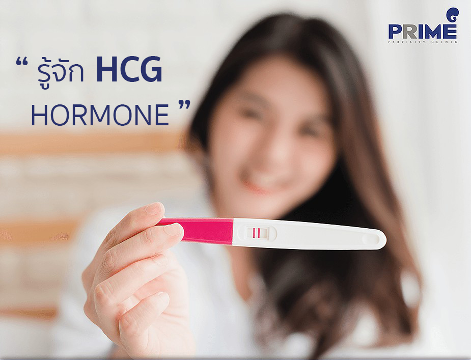 รู้จัก HCG TH