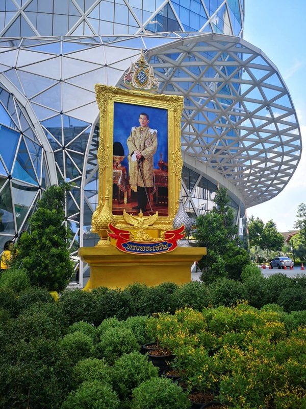 ร่วมถวายพระพรชัย4