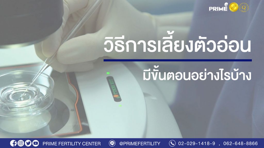 วิธีเลี้ยงตัวอ่อน