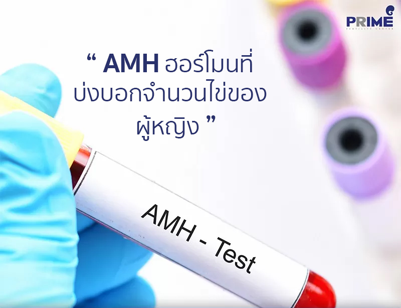 AMH Hormone,抗缪勒管激素