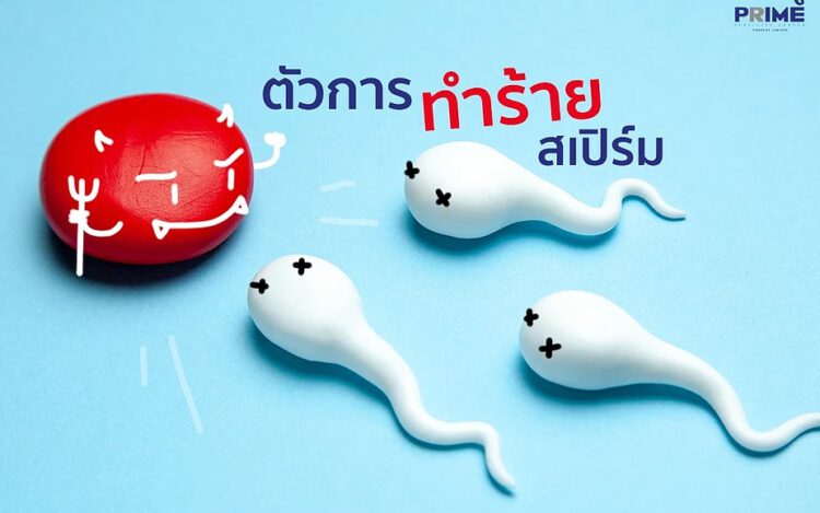 healthy sperm, สเปิร์มแข็งแรง,精子杀手