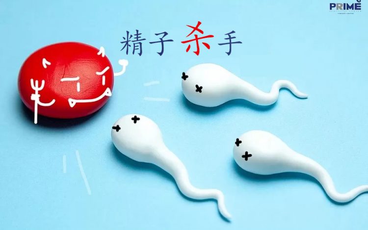 healthy sperm, สเปิร์มแข็งแรง,精子杀手