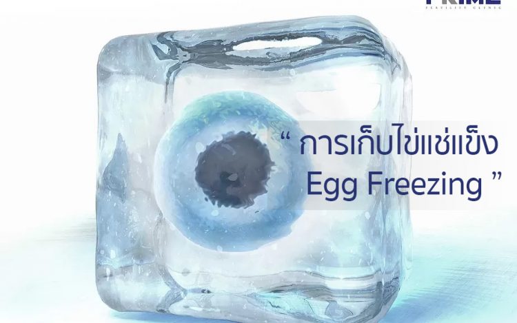 冷冻卵子, Egg Freezing,ไข่แช่แข็ง