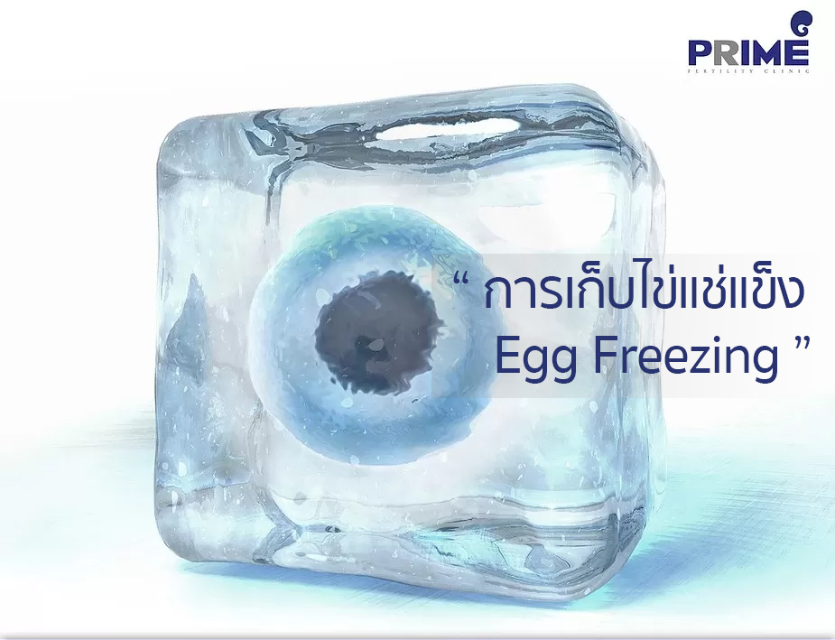 冷冻卵子, Egg Freezing,ไข่แช่แข็ง