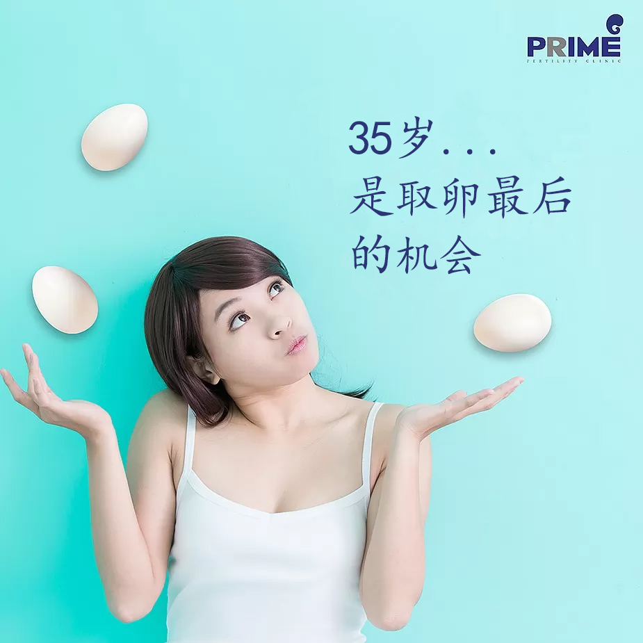 อายุ 35 โค้งสุดท้ายเก็บไข่ CHI