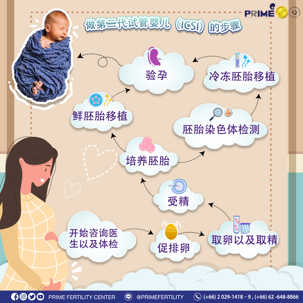 เส้นทางสู่ icsi จีน