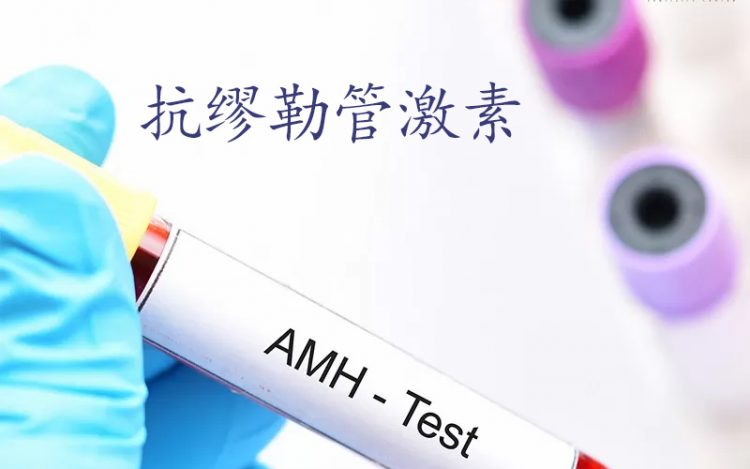 AMH Hormone,抗缪勒管激素