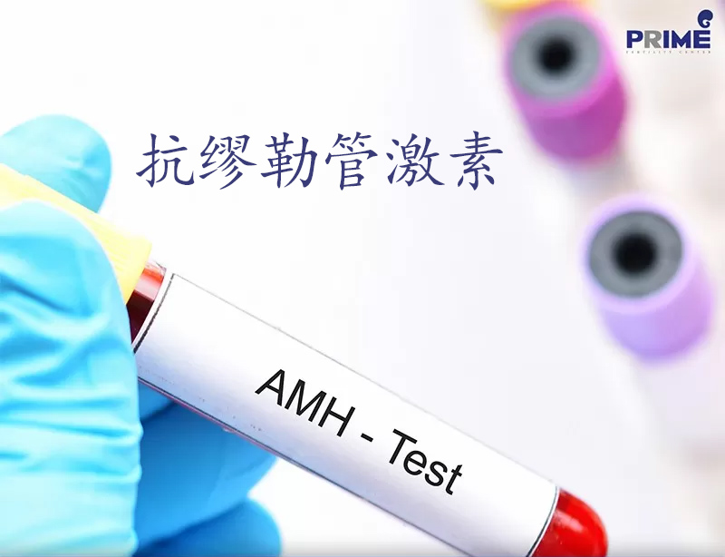 AMH Hormone,抗缪勒管激素