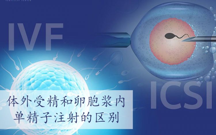 IVF,ICSI,试管婴儿,单精子注射