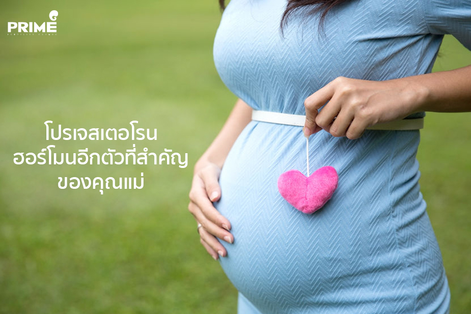 โปรเจสเตอโรน, Progesterone, 孕酮