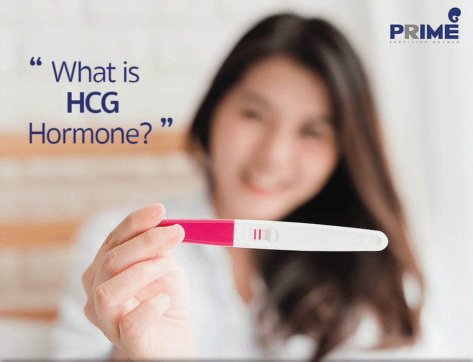 What is HCG Hormone? Prime Fertility Center | Pregnancy Test