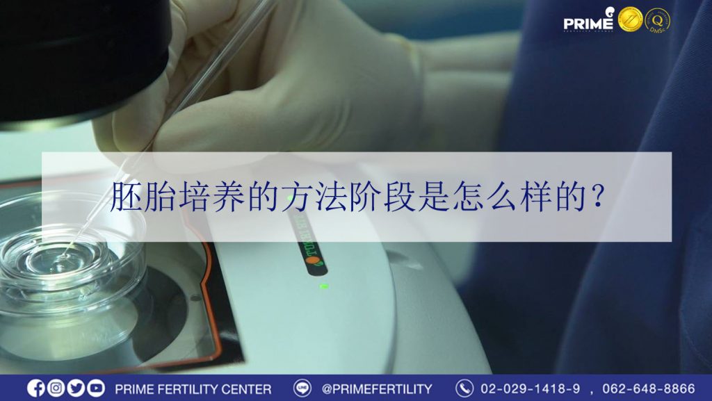胚胎培养的方法阶段是怎么样的
