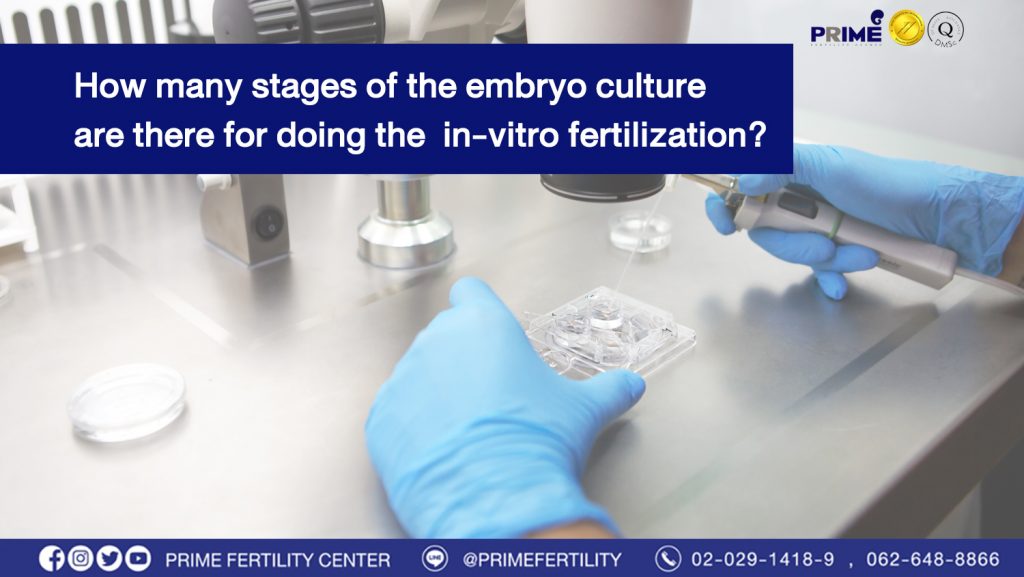 How many stages of the embryo culture are there for doing the in vitro fertilization