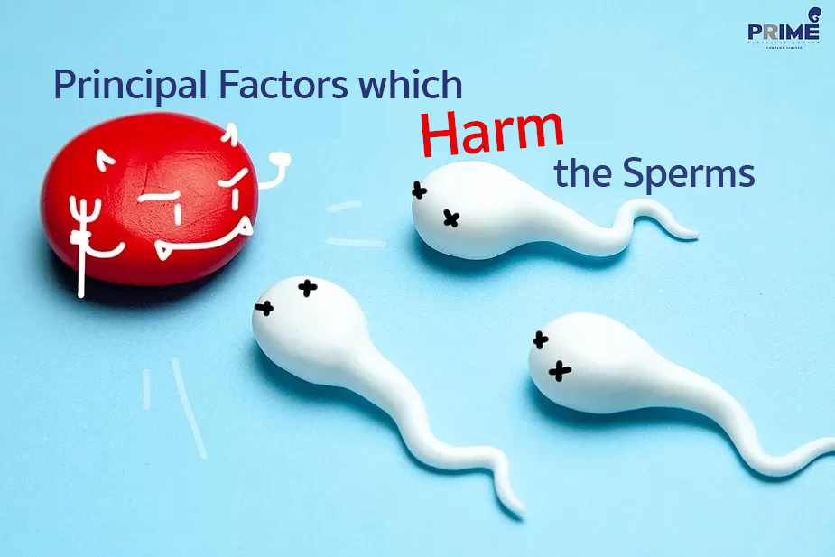 healthy sperm, สเปิร์มแข็งแรง,精子杀手