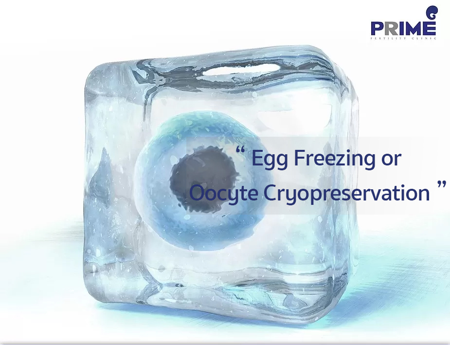 冷冻卵子, Egg Freezing,ไข่แช่แข็ง