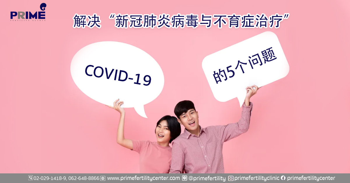 5คำถาม cn