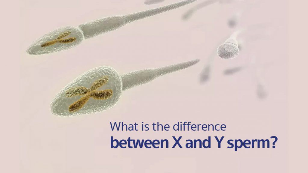 xy