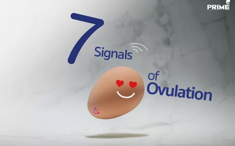 สัญญาณไข่ตก, Signal of Ovulation,排卵的7个表现
