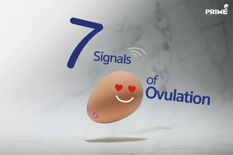 สัญญาณไข่ตก, Signal of Ovulation,排卵的7个表现