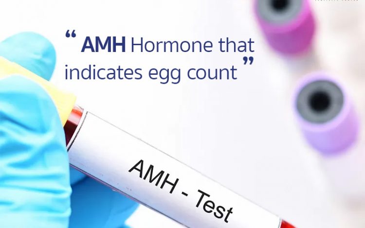 AMH Hormone,抗缪勒管激素