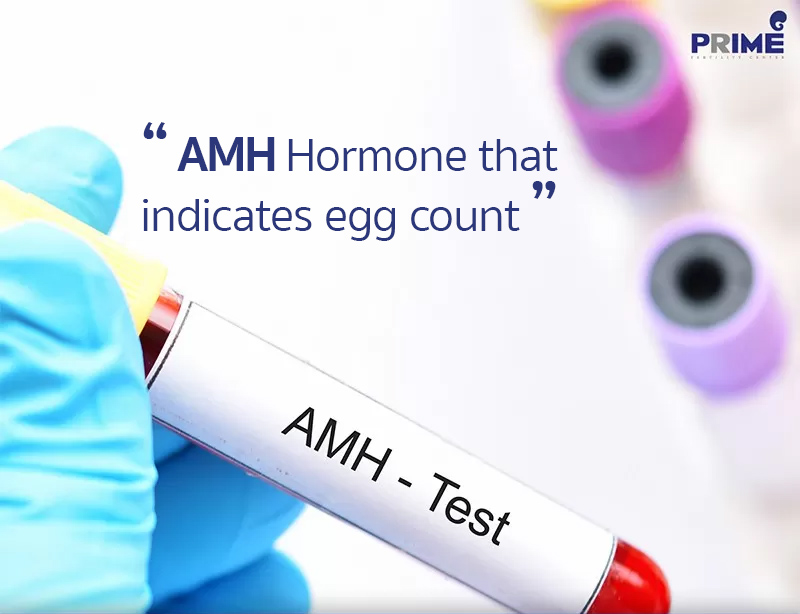 AMH Hormone,抗缪勒管激素