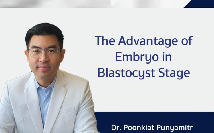 囊胚的优势, the advantage of Blastocyst stage,ข้อดีของตัวอ่อนระยะบลาสโตซิสต์