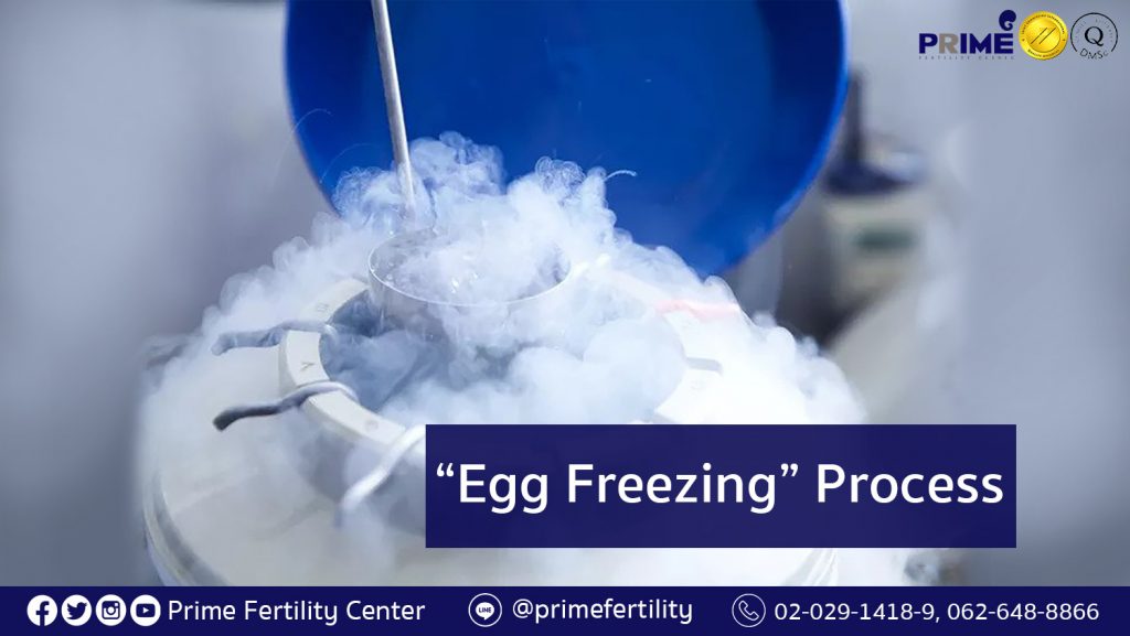 Egg Freezing Process, ขั้นตอนการแช่แข็งไข่