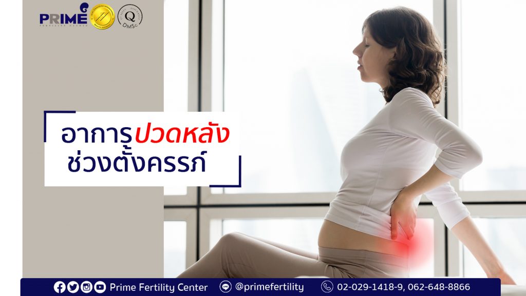 Back pain during pregnancy,อาการปวดหลังช่วงตั้งครรภ์,怀孕期间的背痛状况
