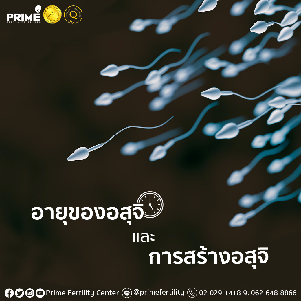อายุของอสุจิและการสร้างอสุจิ