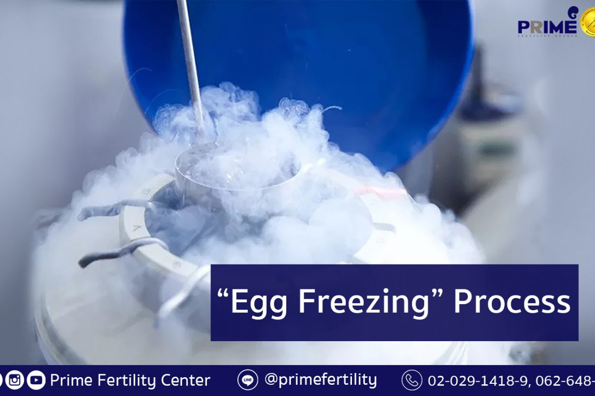 Egg Freezing Process, ขั้นตอนการแช่แข็งไข่
