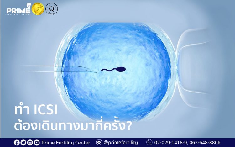 How often do you need to visit the clinic during your ICSI treatment, ทำ ICSI ต้องเดินทางมากี่ครั้ง,做试管婴儿（ICSI）要过来诊所几趟