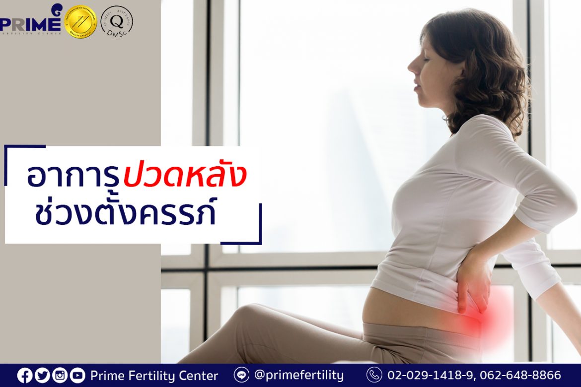 Back pain during pregnancy,อาการปวดหลังช่วงตั้งครรภ์,怀孕期间的背痛状况