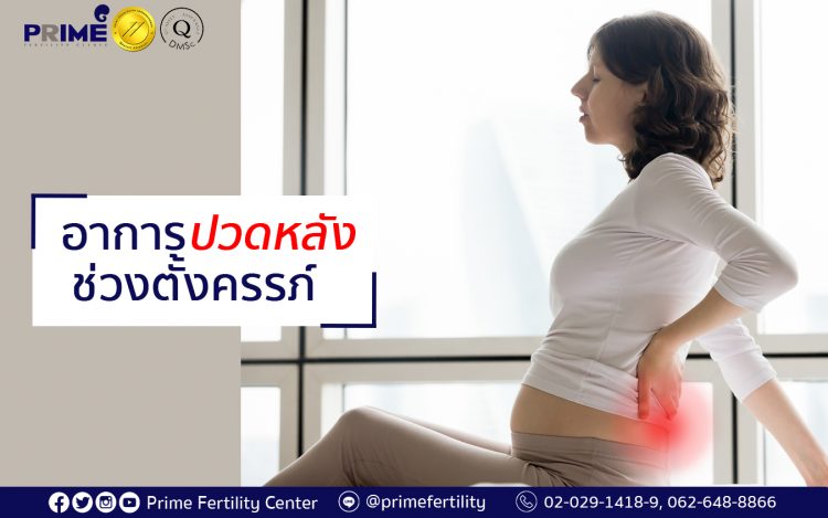 Back pain during pregnancy,อาการปวดหลังช่วงตั้งครรภ์,怀孕期间的背痛状况