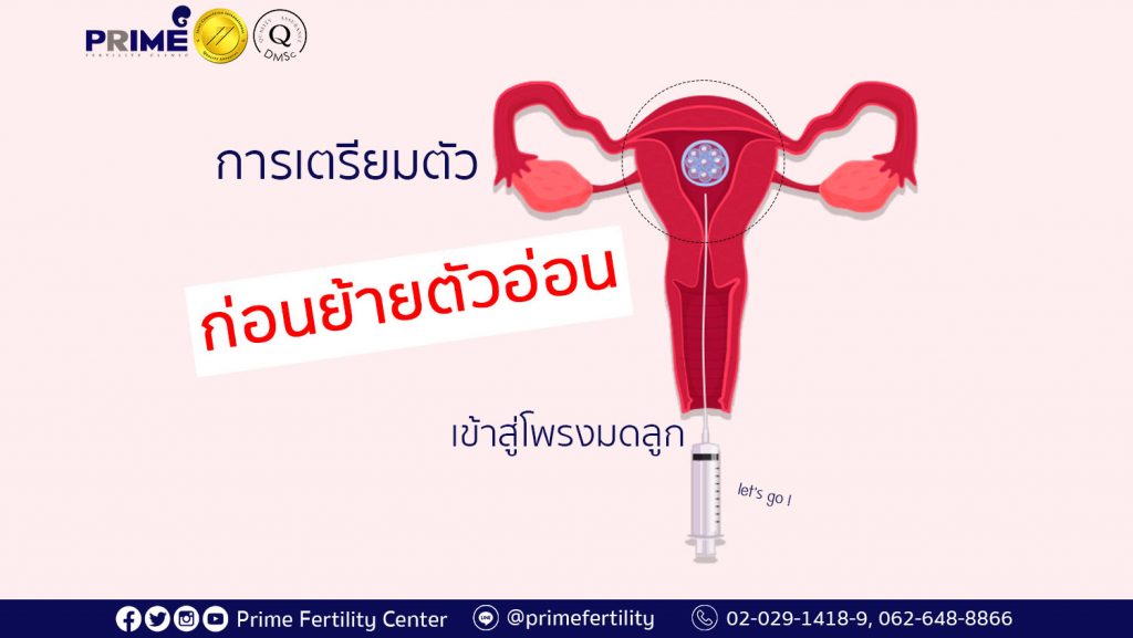 Preparation for Embryo Transfer,การเตรียมตัวก่อนย้ายตัวอ่อนเข้าสู่โพรงมดลูก,移植胚胎前的准备