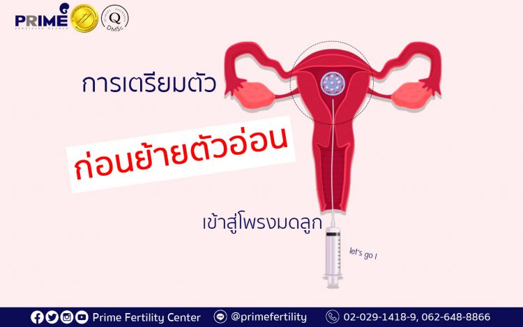 Preparation for Embryo Transfer,การเตรียมตัวก่อนย้ายตัวอ่อนเข้าสู่โพรงมดลูก,移植胚胎前的准备