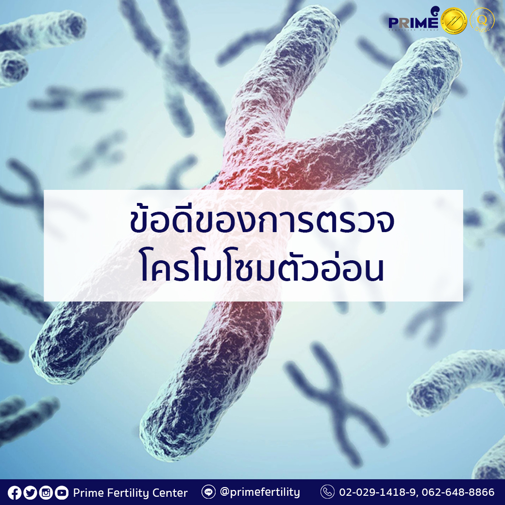 ข้อดีของการตรวจโครโมโซมตัวอ่อน 1