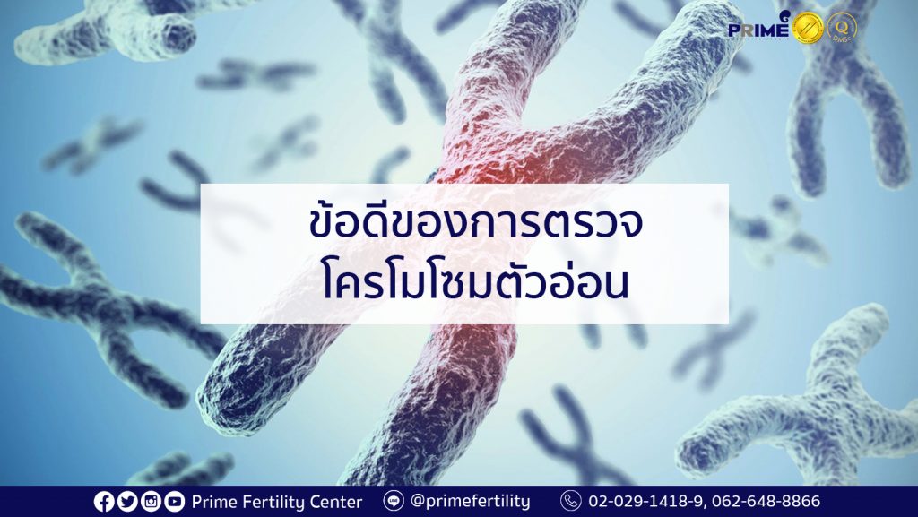 ตรวจโครโมโซมตัวอ่อน