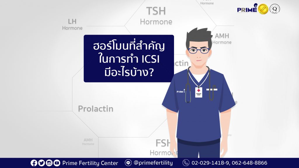 做试管婴儿的主要荷尔蒙,What are the important hormones in ICSI program,ฮอร์โมนที่สำคัญในการทำ ICSI มีอะไรบ้าง