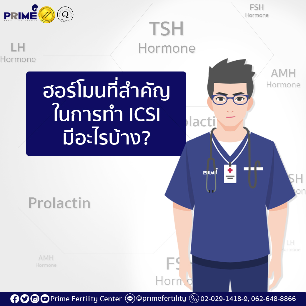 ฮอร์โมนที่สำคัญในการทำ ICSI มีอะไรบ้าง11
