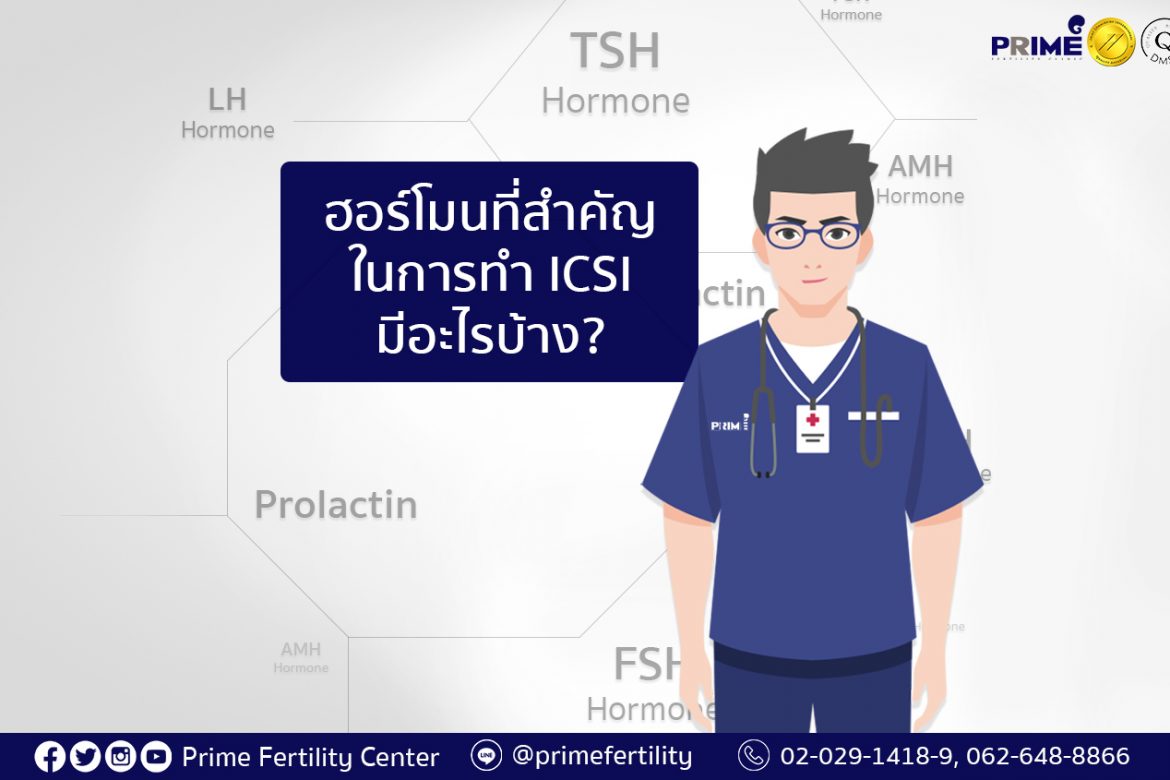 做试管婴儿的主要荷尔蒙,What are the important hormones in ICSI program,ฮอร์โมนที่สำคัญในการทำ ICSI มีอะไรบ้าง