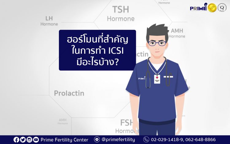 做试管婴儿的主要荷尔蒙,What are the important hormones in ICSI program,ฮอร์โมนที่สำคัญในการทำ ICSI มีอะไรบ้าง