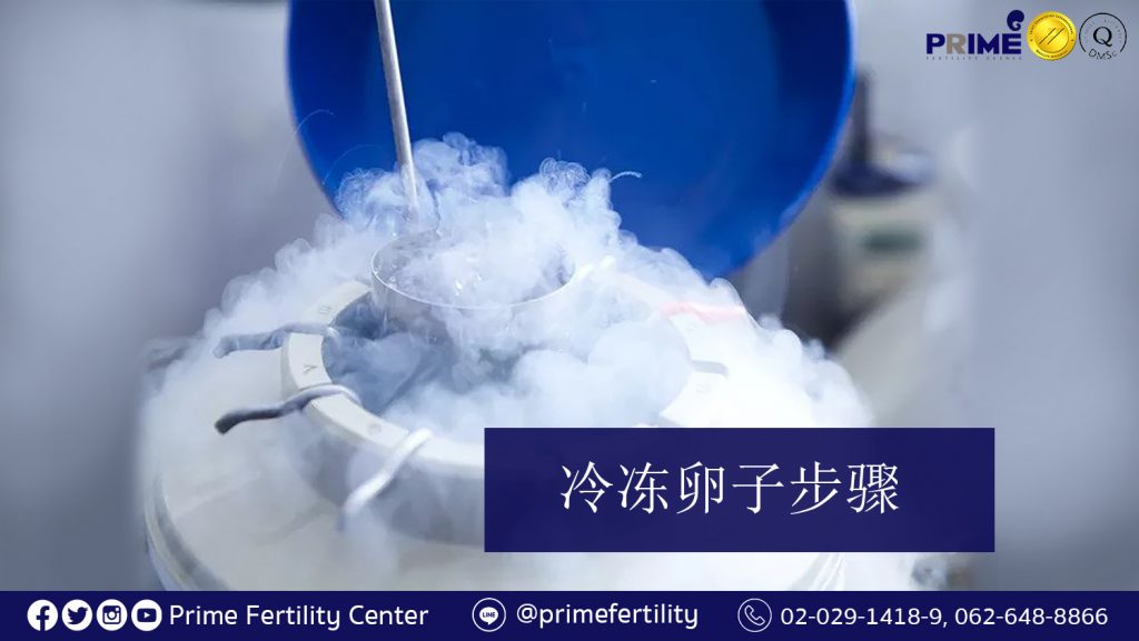 การฝากไข่แช่แข็ง, Egg Freezing,冷冻卵子