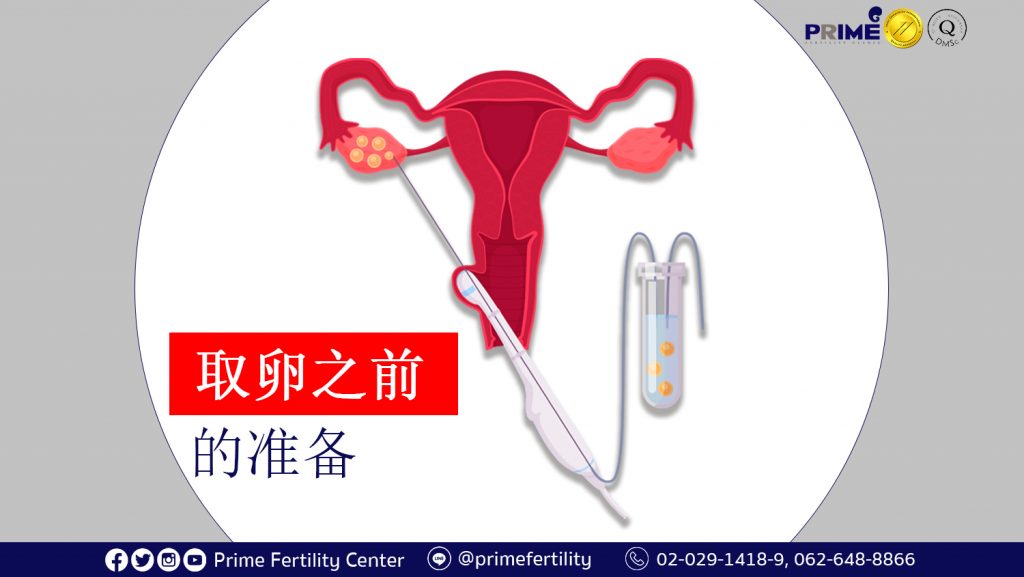 Preparation for Egg Retrieval, การเตรียมตัวก่อนการเก็บไข่, 取卵之前的准备