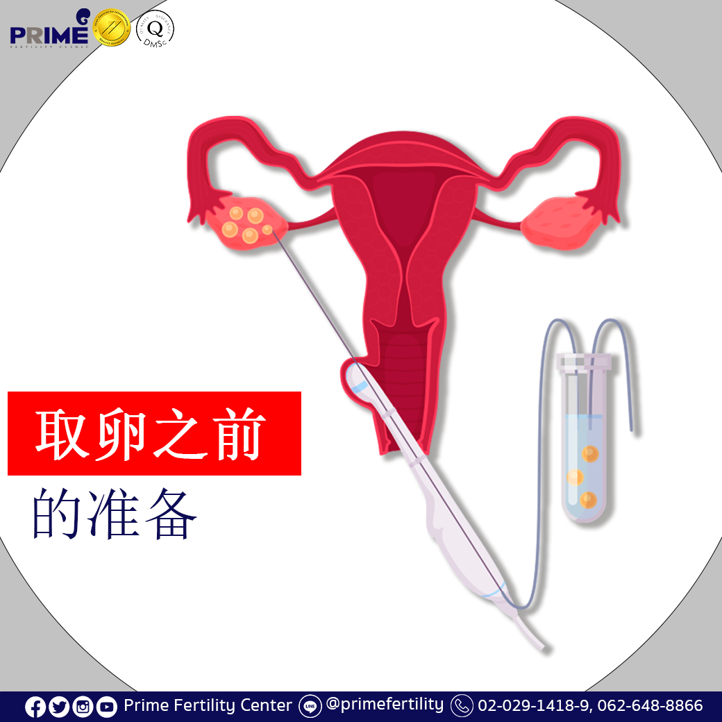 การเตรียมตัวก่อนการเก็บไข่ Chi