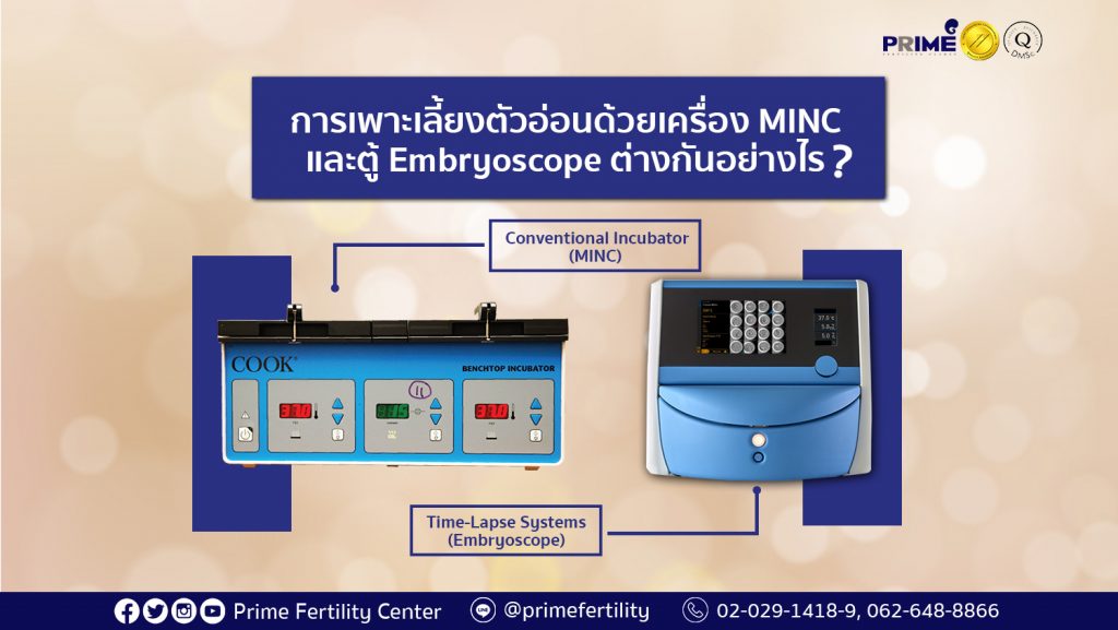 การเพาะเลี้ยงตัวอ่อน 1