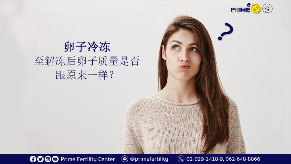 卵子冷冻, แช่แข็งไข่,