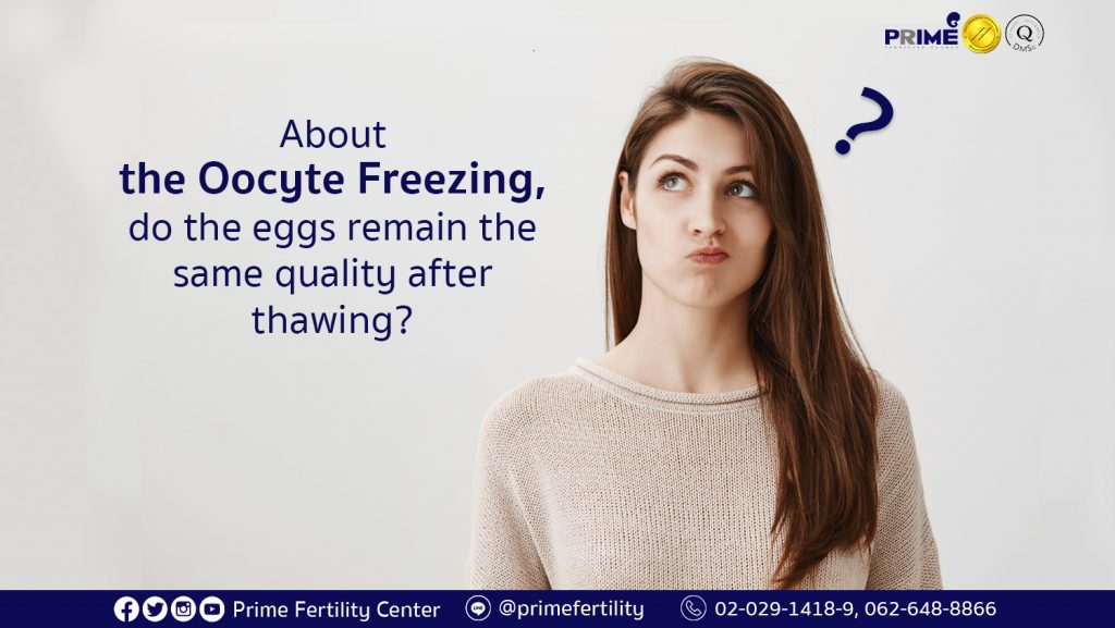 卵子冷冻, แช่แข็งไข่,Oocyte Freezing